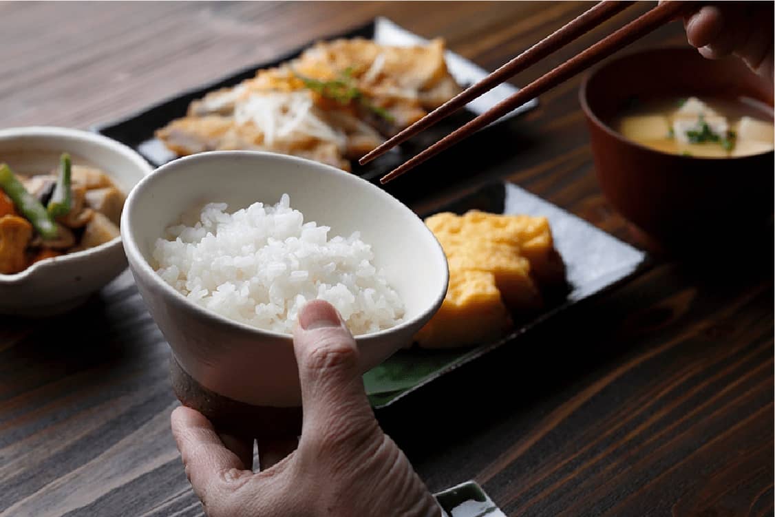 バランスの取れた食事の例